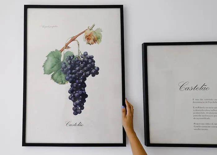 ゲストハウス Casa D'albarrois 4*