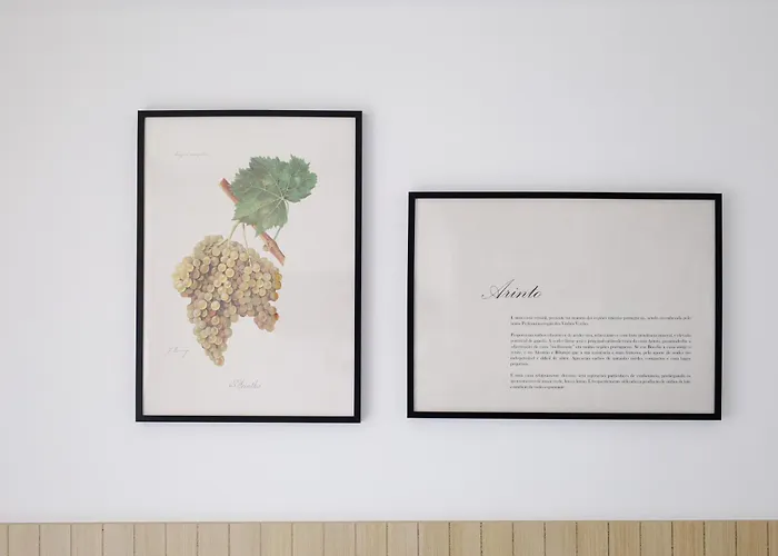 ゲストハウス Casa D'albarrois 4*