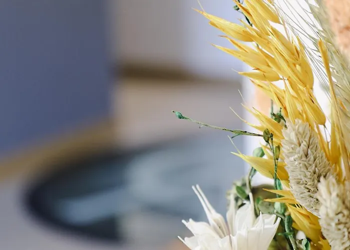 ゲストハウス Casa D'albarrois 4*